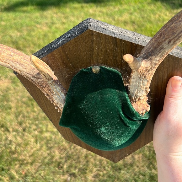 Vintage 8 Point Whitetail Deer Buck Antlers Green Velvet Wall Mount Plaque - Picture 7 of 12